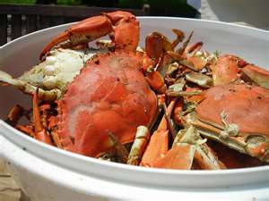 steamed blue crabs - alain ducasse recipe