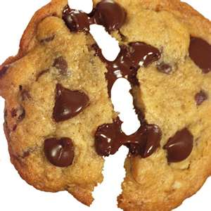 chocolate chip cookie - joël robuchon recipe