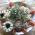 Crab salad - rachael ray recipe