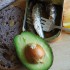 Mashed avocado and sardine toast - rachael ray recipe